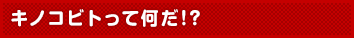キノコビトって何だ!?