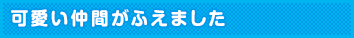 可愛い仲間がふえました