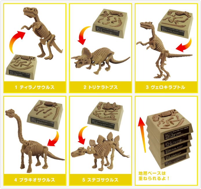 発掘恐竜 かせキング