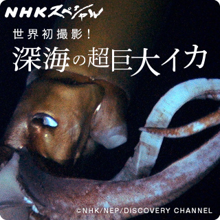 NHKスペシャル 世界初撮影! 深海の超巨大イカ