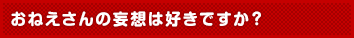 おねえさんの妄想は好きですか？