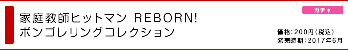 家庭教師ヒットマン REBORN! ボンゴレリングコレクション