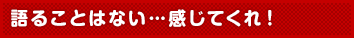 語ることはない…感じてくれ！