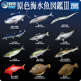 立体カプセル百科事典 原色海水魚図鑑Ⅲ