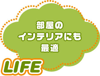 LIFE：部屋のインテリアにも最適