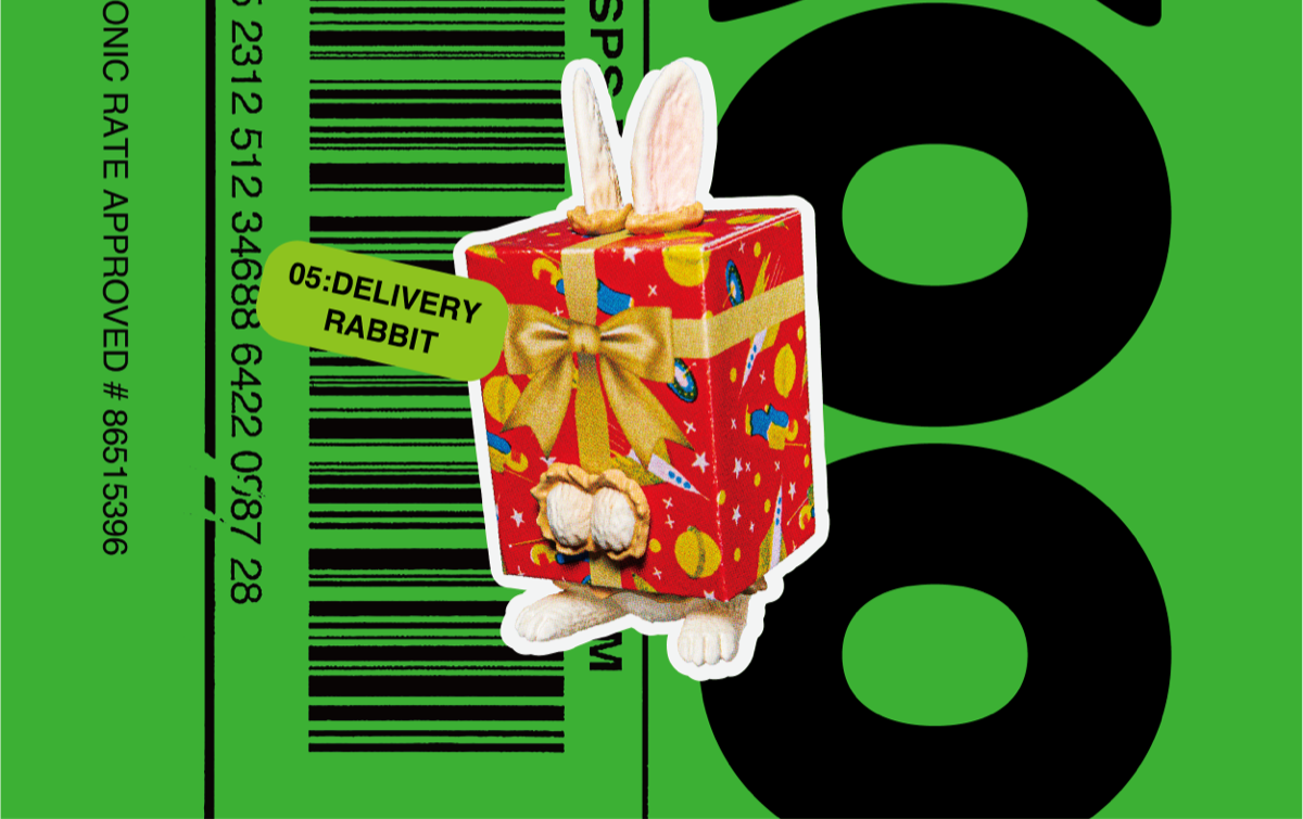 DELIVERY RABBIT