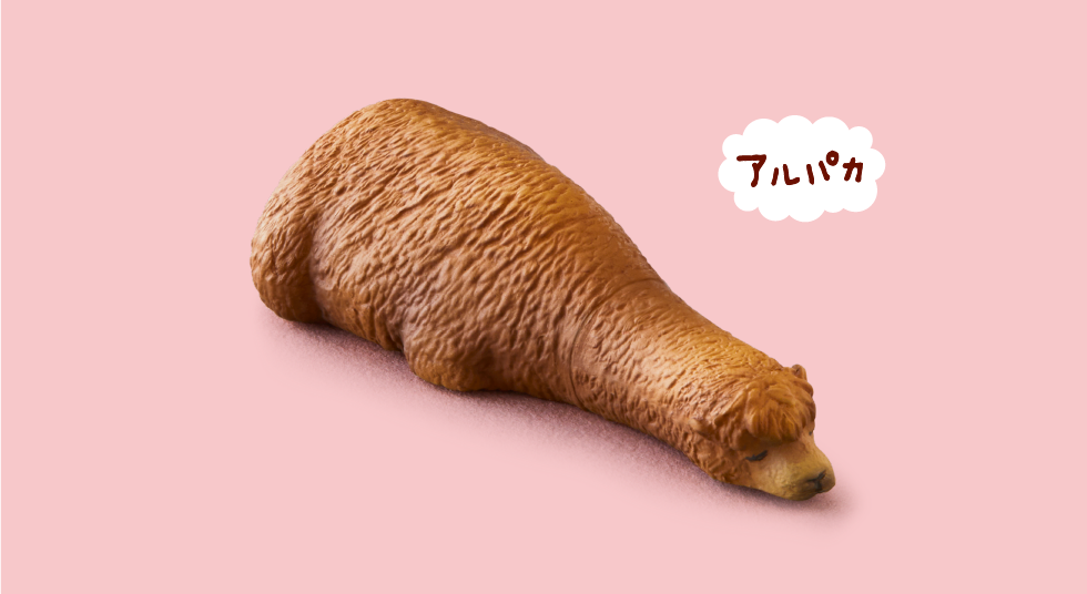 アルパカ