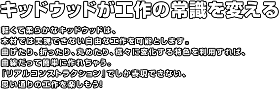 キッドウッドが工作の常識を変える 軽くて柔らかなキッドウッドは、木材では実現できない自由な工作を可能とします。曲げたり、折ったり、丸めたり、様々に変化する特色を利用すれば、曲線だって簡単に作れちゃう。『リアルコンストラクション』でしか表現できない、思い通りの工作を楽しもう！